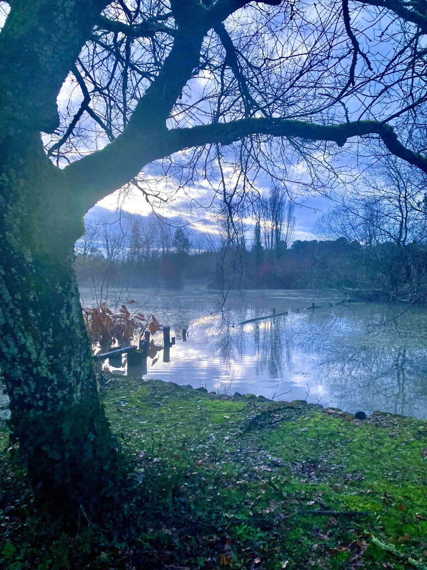 Maison De Campagne - La Belle Claudine Laruscade Esterno foto